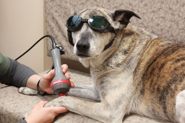 Laser-therapy-Image